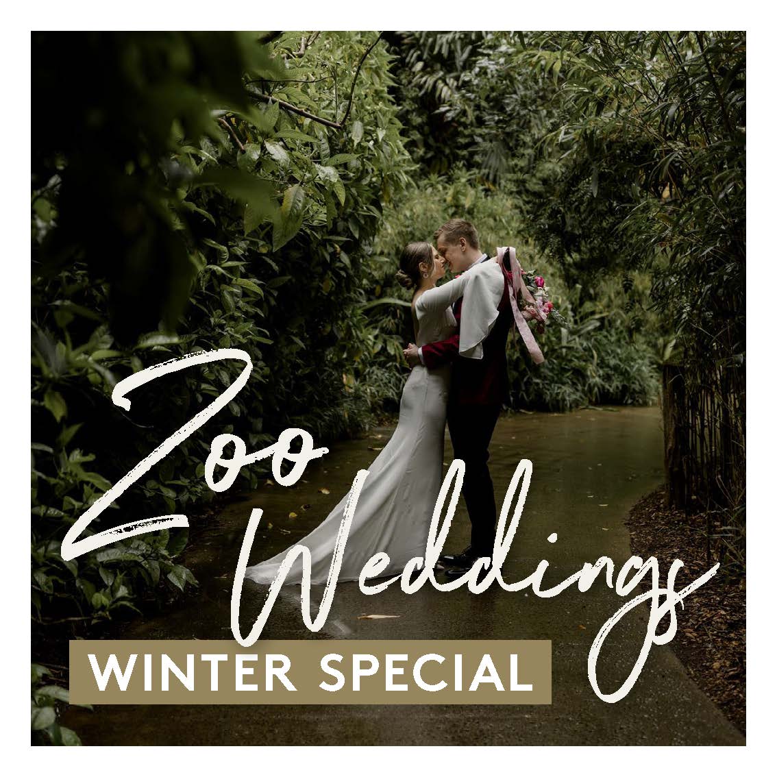 Zoo Weddings Winter Special